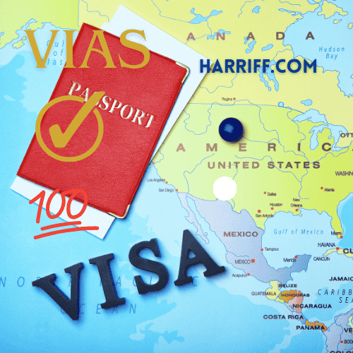 online visa service